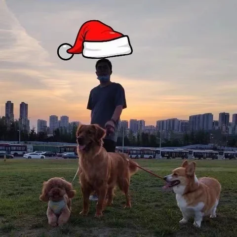 工作之外的 CC